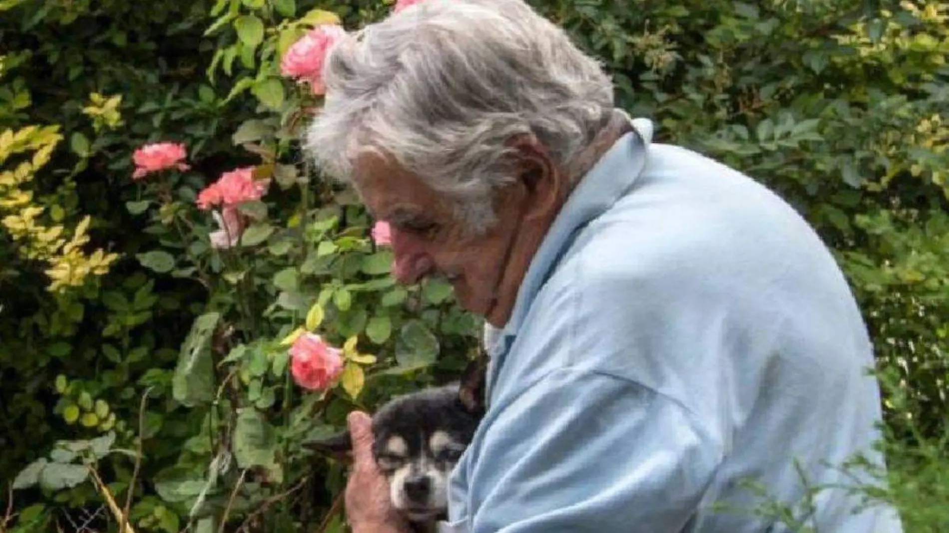 Pepe Mujica (1)